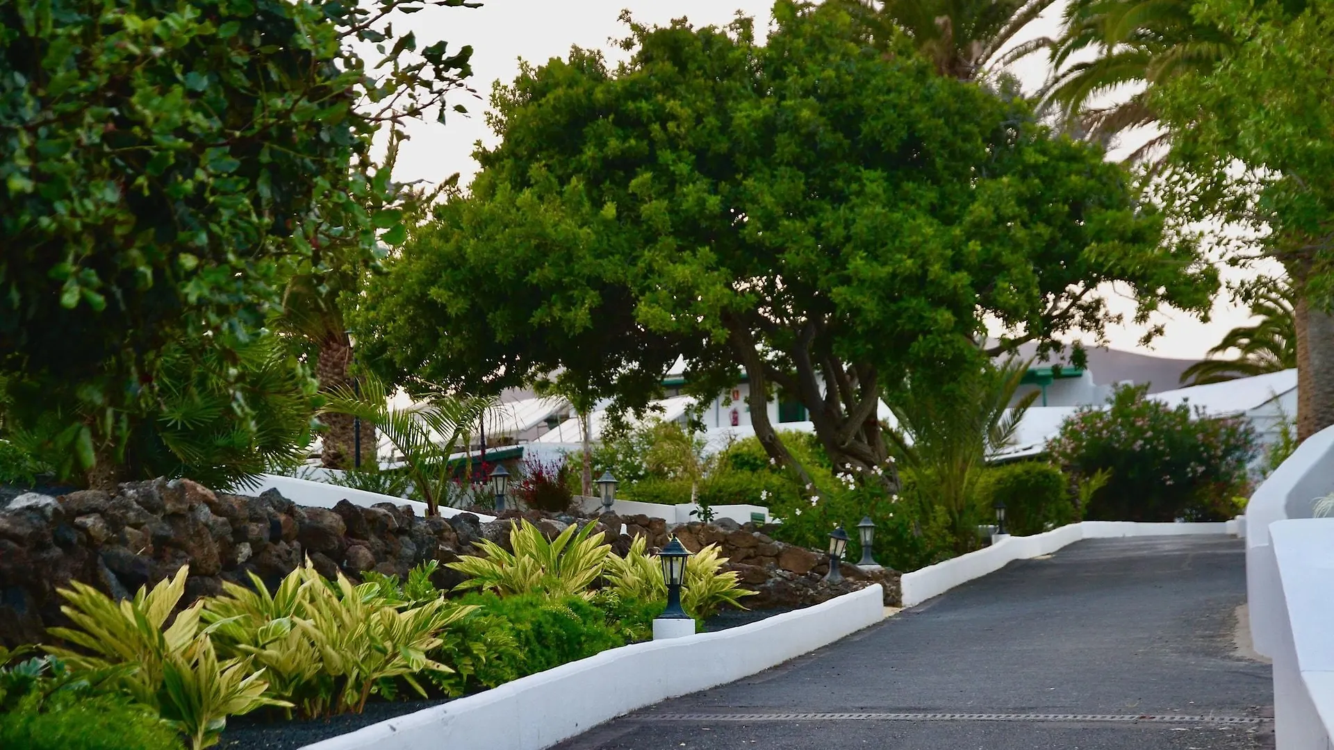 Casas Heddy, Well-Being Resort Puerto del Carmen  Hotel Puerto del Carmen (Lanzarote)