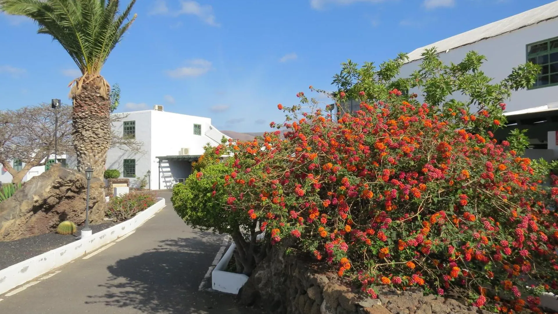 Casas Heddy, Well-Being Resort Puerto del Carmen  3*, Puerto del Carmen (Lanzarote) Spagna